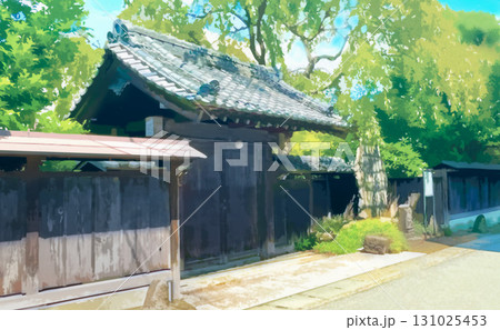 緑に囲まれた和風建築の木門と塀 緑に囲まれた和風建築の木門と塀 131025453