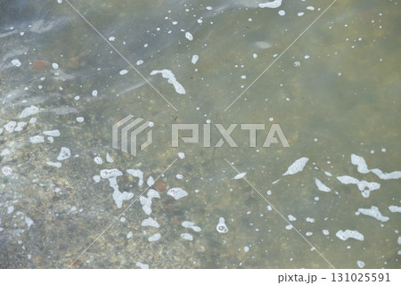 海 海 131025591