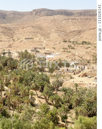 Explore the serene oasis and desert landscape of Tunisia under a clear blue sky with lush palm trees Explore the serene oasis and desert landscape of Tunisia under a clear blue sky with lush palm trees 131026141