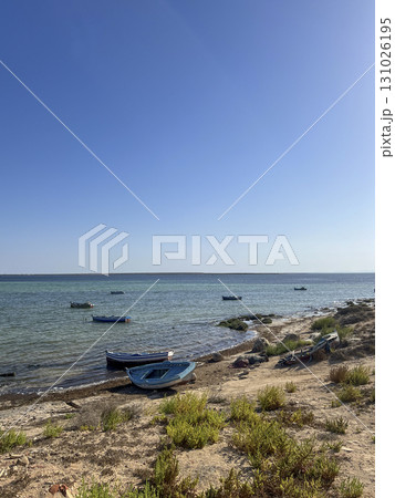 Fishing boats on the serene shores of Djerba, Tunisia under a clear blue sky during a calm day at 131026195