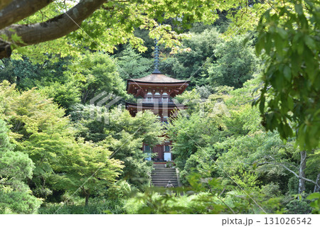 夏の浄瑠璃寺　国宝三重塔(京都府木津川市) 131026542