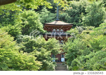 夏の浄瑠璃寺 国宝三重塔(京都府木津川市) 夏の浄瑠璃寺 国宝三重塔(京都府木津川市) 131026543