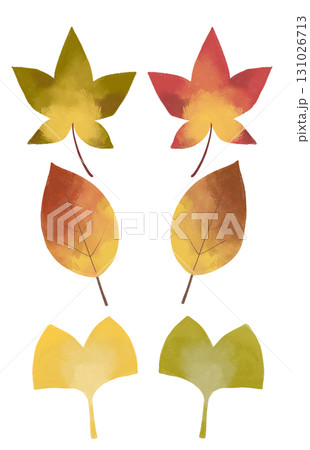 紅葉する葉っぱのイラスト 131026713