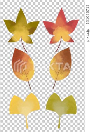 紅葉する葉っぱのイラスト 131026713