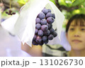 ブドウ狩りを楽しむ女性（ピオーネ） 131026730