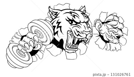 Tiger Weight Lifting Dumbbell Gym Animal Mascot Tiger Weight Lifting Dumbbell Gym Animal Mascot 131026761