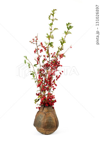 Vase with flowers on a white background. 131026897