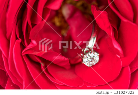 Diamond ring on flower Diamond ring on flower 131027322