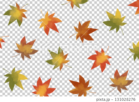 紅葉するもみじのパターン 131028276