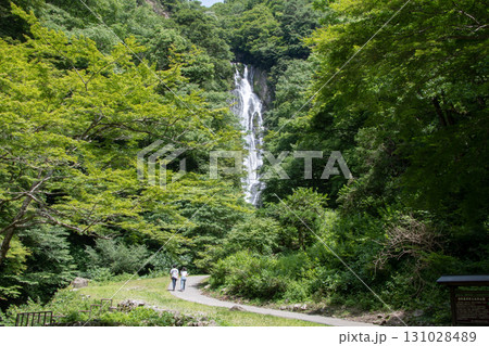 岡山県真庭市　日本滝百選　神庭の滝自然公園　 131028489