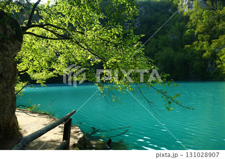 beautiful plivitce water landscapes in croatia beautiful plivitce water landscapes in croatia 131028907