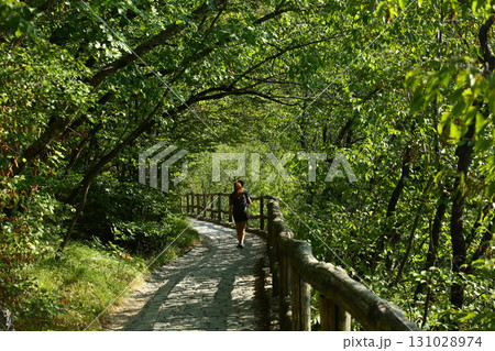 beautiful plivitce water landscapes in croatia 131028974