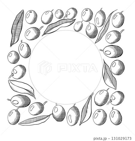 Olive oil design template. Olive green berry and leaves square circle round frame template. Vector graphic line ink black and white illustration. Banner, product packaging, design concept. Olive oil design template. Olive green berry and leaves square circle round frame template. Vector graphic line ink black and white illustration. Banner, product packaging, design concept. 131029173