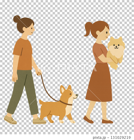犬　コーギー　ポメラニアン　女性　暮らし　散歩　イラスト 131029219