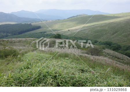 夏の終わり、青空の下でススキが風に揺れる霧ヶ峰高原。澄んだ空気と広がる草原が、秋の気配を感じさせます 夏の終わり、青空の下でススキが風に揺れる霧ヶ峰高原。澄んだ空気と広がる草原が、秋の気配を感じさせます 131029868