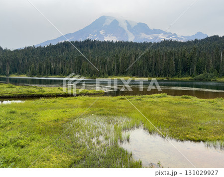 レーニア山とリフレクション・レイク、マウントレーニア国立公園、8月下旬撮影 131029927