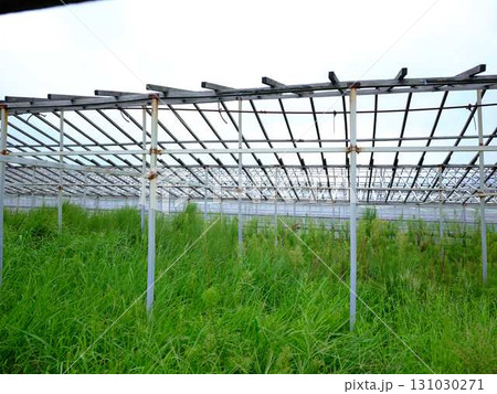 ビニールハウスの温度管理 ビニールハウスの温度管理 131030271