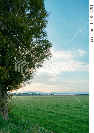 早朝の風景 131030791