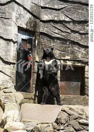 富山市ファミリーパーク（富山県） 131031139