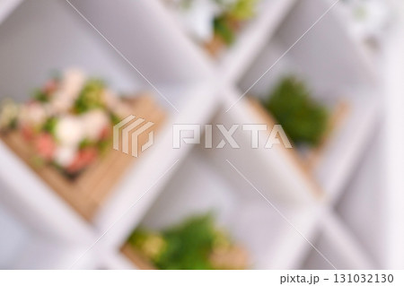Blurred wall with wooden shelves and various green plants in soft light 131032130