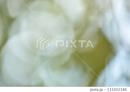Abstract bokeh background with soft green and white light circles Abstract bokeh background with soft green and white light circles 131032386