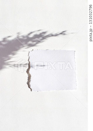 Torn white paper on light surface with leaf shadow creating minimalistic 131032796