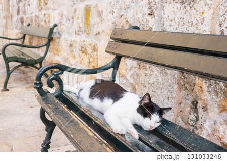 ヨーロッパ、クロアチアのドゥブロヴニクのベンチで寝る猫 131033246