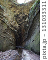伊尾木洞／高知県安芸市の自然観光名所 131033311
