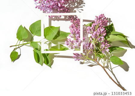 Lilac branch with green leaves and white paper frame on bright white background Lilac branch with green leaves and white paper frame on bright white background 131033453