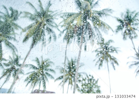 Raindrops on glass with blurred palm trees in tropical background on cloudy day 131033474