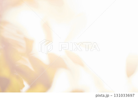 Bright sunlit leaves with soft focused background and warm glow highlighting Bright sunlit leaves with soft focused background and warm glow highlighting 131033697