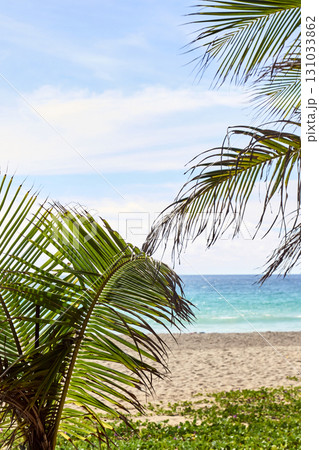 Tropical beach view with palm trees and ocean in bright sunlight under blue sky 131033862