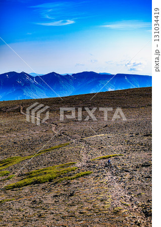 大雪山・白雲岳登山道を歩く登山者の風景 131034419