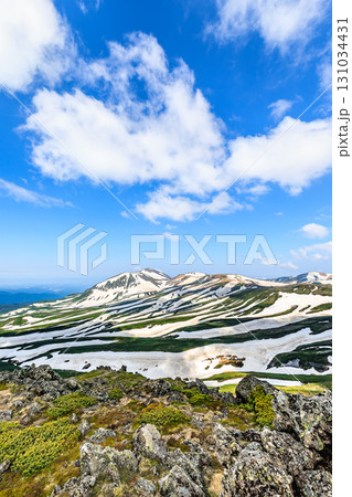 初夏の大雪山 白雲岳ゼブラ模様の山並み 131034431