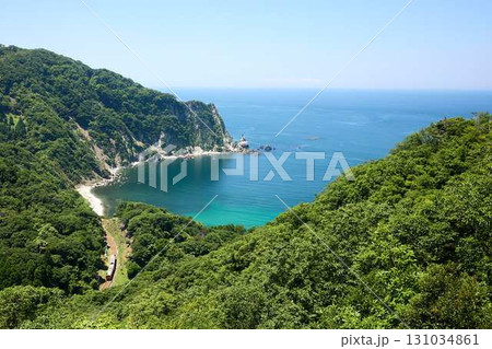 日本海沿いを走るタラコ列車 131034861