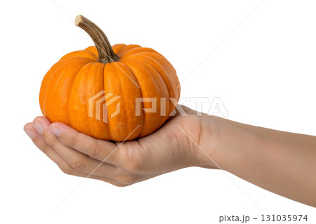 Hand holding ripe orange pumpkin with green stem, autumn harvest concept isolated on transparent background 131035974