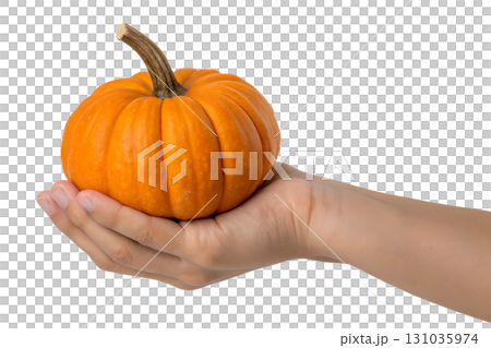 Hand holding ripe orange pumpkin with green stem, autumn harvest concept isolated on transparent background 131035974