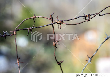 A detailed close up view of grungy intertwined barbed wires 131036328