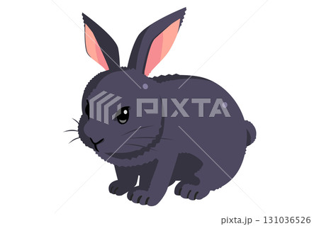 黒うさぎ 131036526