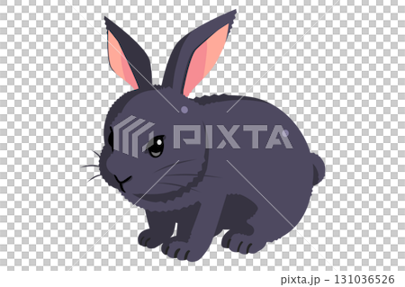 黒うさぎ 131036526