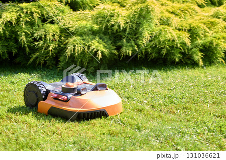 orange robot lawn mower on green lawn in sunny park 131036621