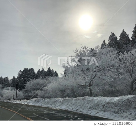 雪の降る朝 雪の降る朝 131036900
