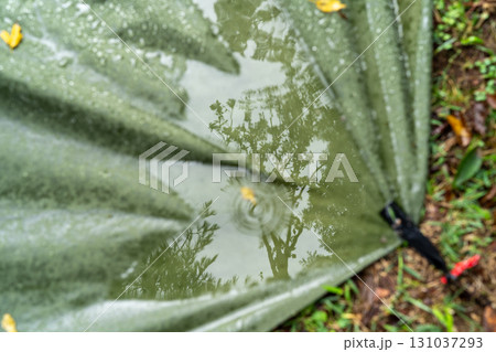 テントの雨水にうつる木々 テントの雨水にうつる木々 131037293