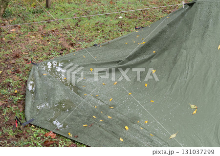 テントの端に溜まる雨 テントの端に溜まる雨 131037299