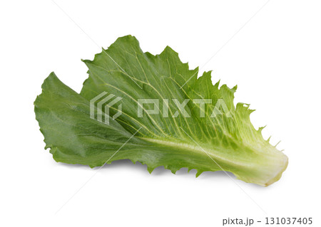 Fresh green romaine salad, lettuce leaf isolated on white background. Healthy food, vegetable Fresh green romaine salad, lettuce leaf isolated on white background. Healthy food, vegetable 131037405