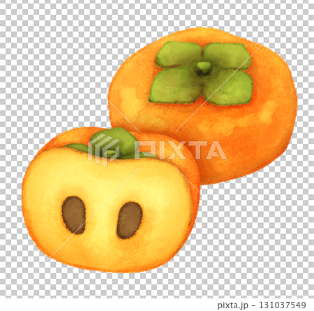 美味しそうな柿のイラスト 131037549