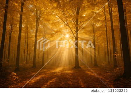 Golden sunlight filters through a serene autumn forest, illuminating trees and fallen leaves. Golden sunlight filters through a serene autumn forest, illuminating trees and fallen leaves. 131038233