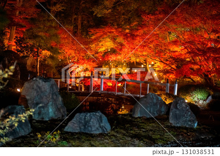 bridge by colorful fall maple leaf light up of Kurodani temple, Kyoto bridge by colorful fall maple leaf light up of Kurodani temple, Kyoto 131038531