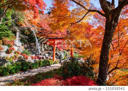 Torii gate by cascading waterfall at Katsuoji temple fall leaf garden, Osaka 131038541