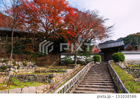 path to gate of Hasedera Temple with red maple leaf, Sakurai, Nara 131038566